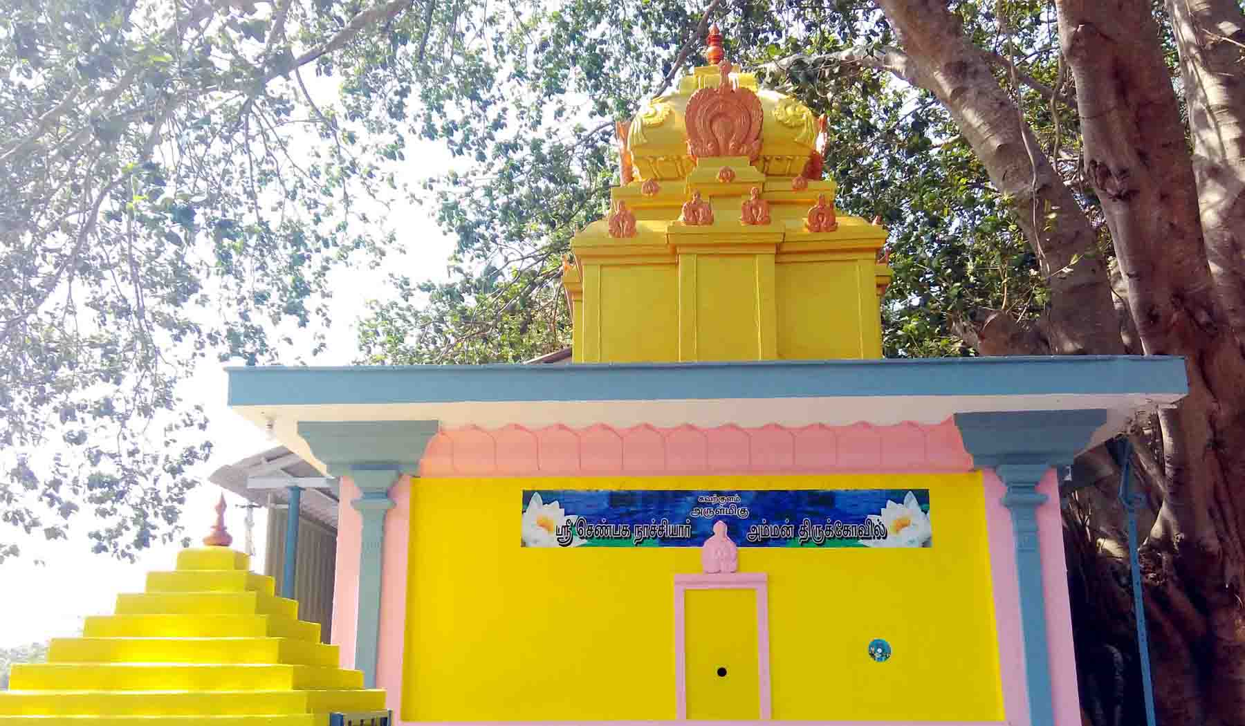 Service image